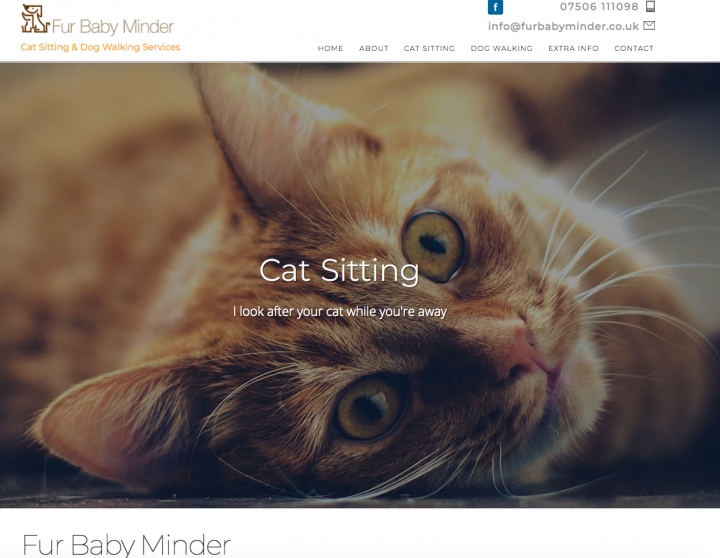 Fur Baby Minder Cat Sitting & Dog Walking Service Based in Ware, Hertfordshire