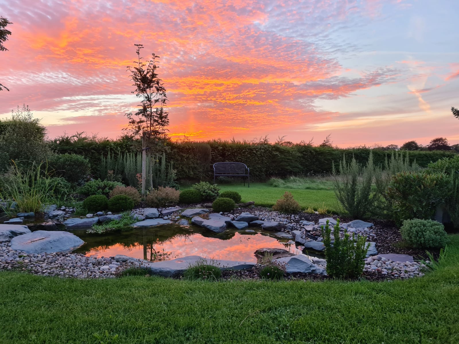 Creative Cascades Bespoke pondless waterfalls