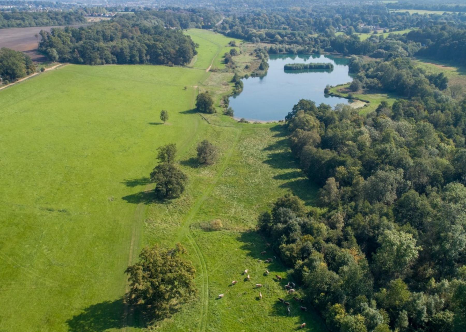 Biodiversity Net Gain A Maydencroft site, customers for over 20 years